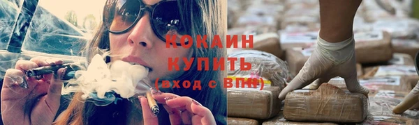 дмт Пестово