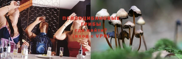 индика Абдулино