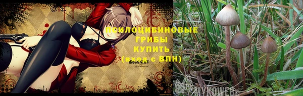 ECSTASY Абинск
