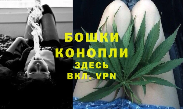 индика Абдулино