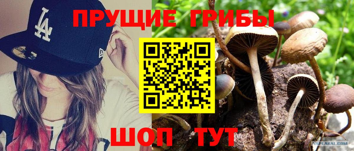 Барнаул  Галлюциногенные грибы ЛСД  Вход с VPN 